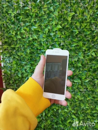 Защитное Стекло Анти-Шпион iPhone 7/8 (Белый)