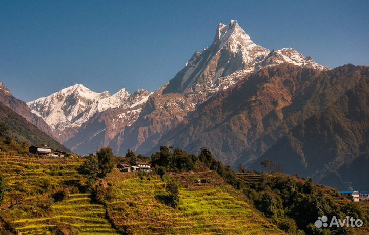 Авторский тур в Непал тур 13 дней