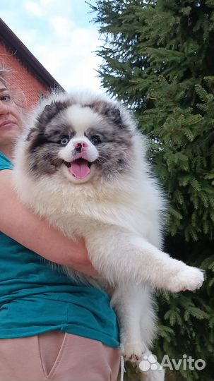 Мальчик красавчик