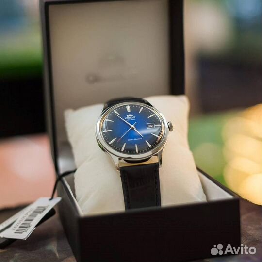 Orient Bambino
