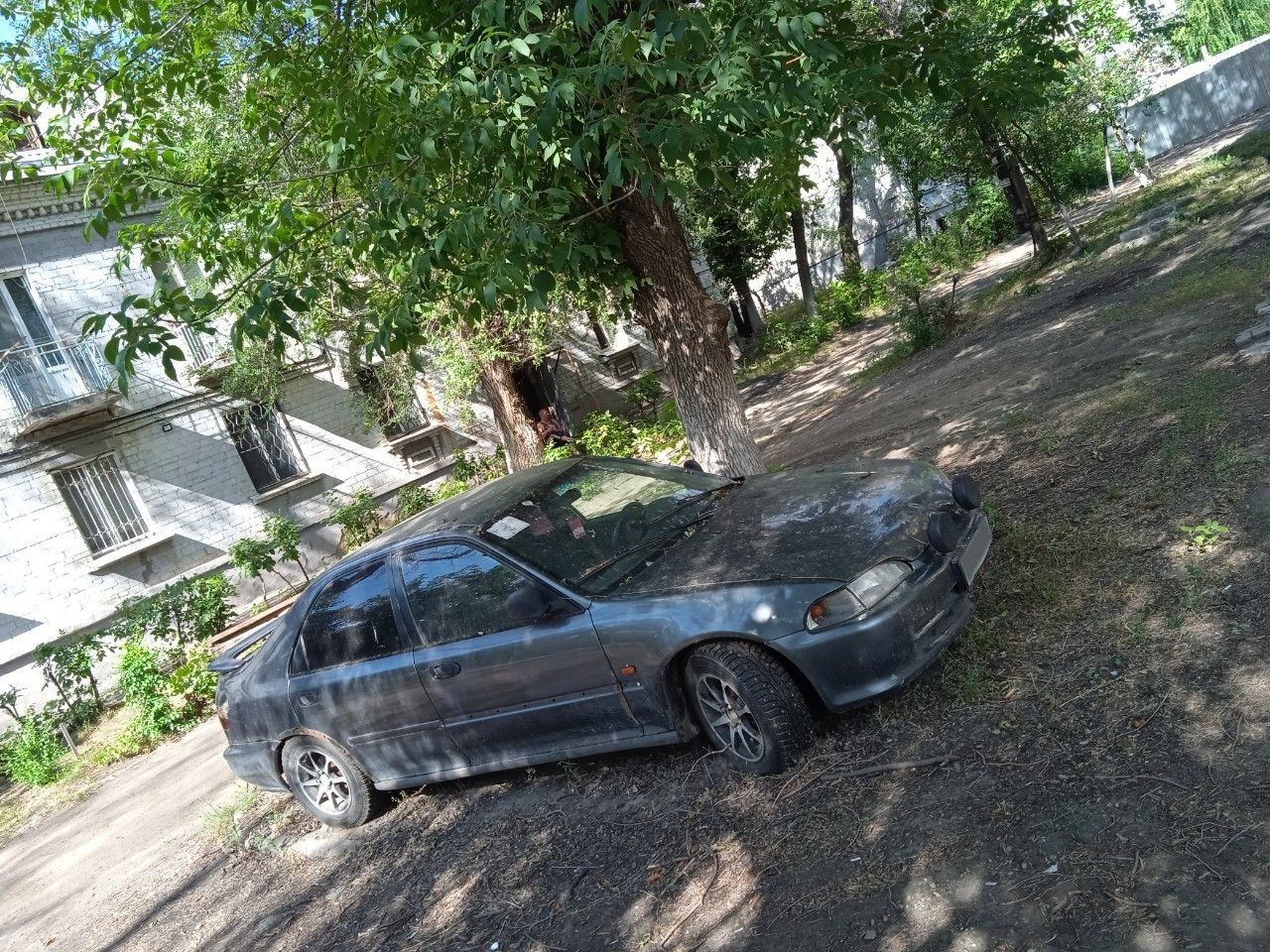 Honda Civic: фото владельца