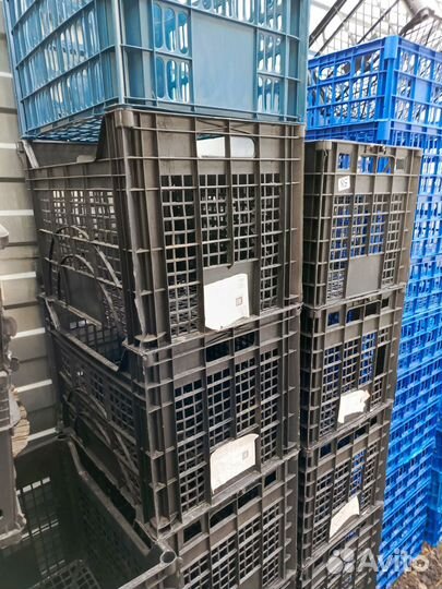 Грибные и другие пластиковые ящики