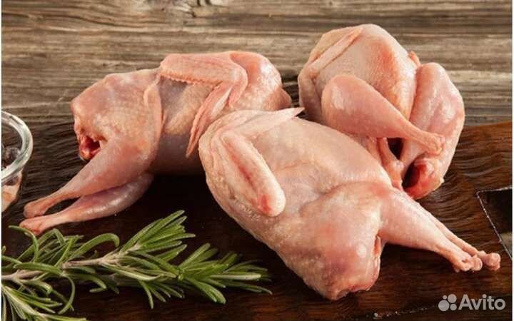 Перепел мясо(тушки)