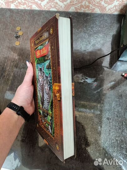 Книга коты воители