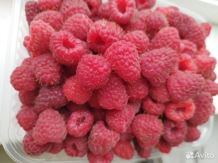 Малина ягода