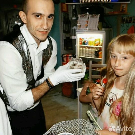 Фокусник в Зернограде