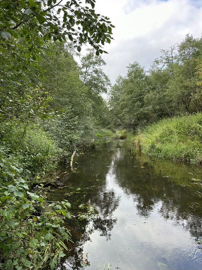 Участок 6,2 га (СНТ, ДНП)