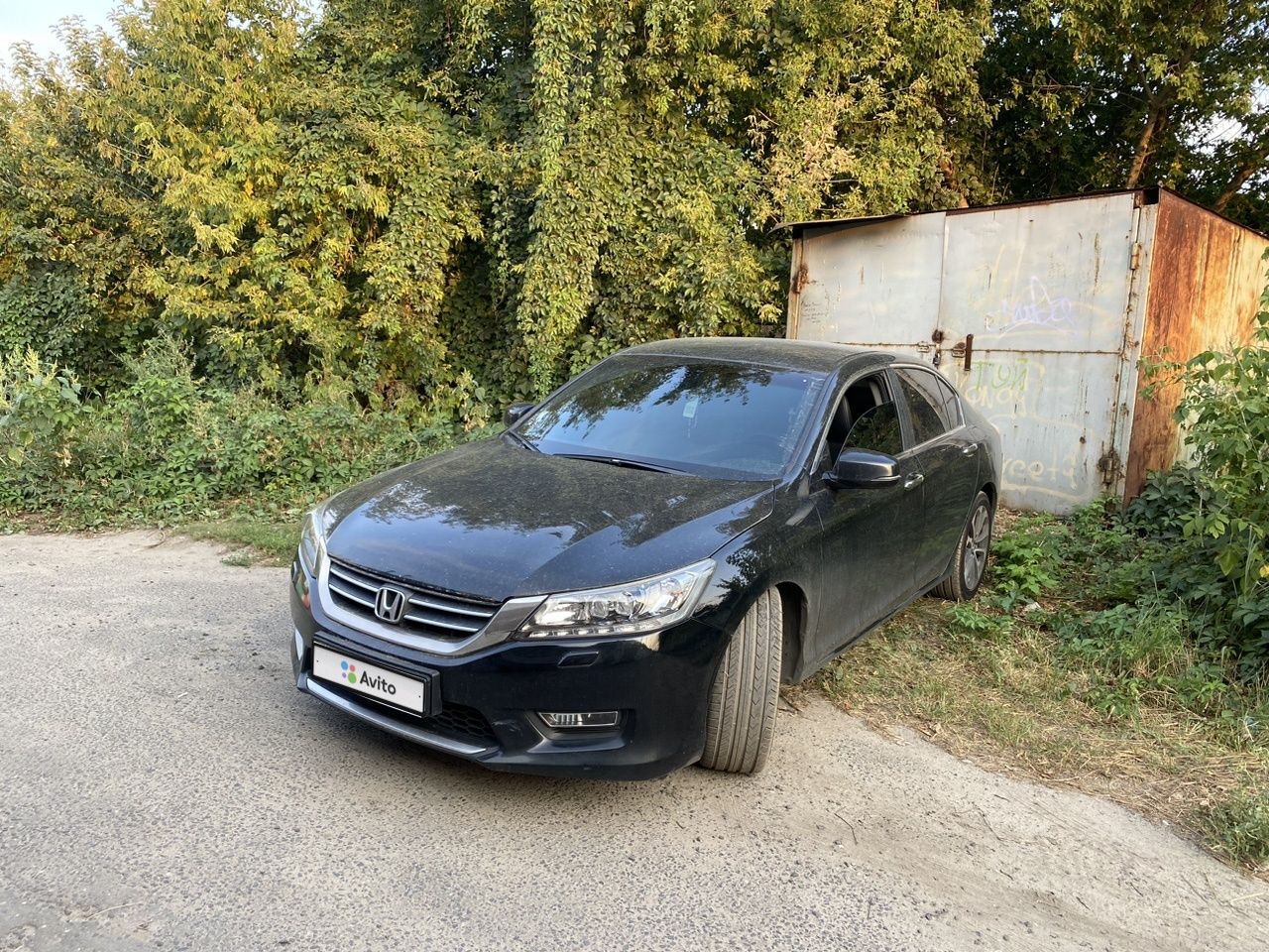 Honda Accord: фото владельца