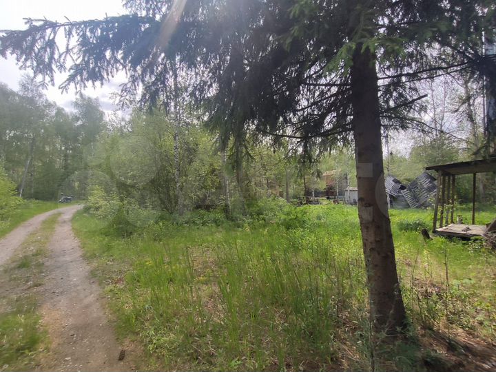 Участок 6 сот. (СНТ, ДНП)