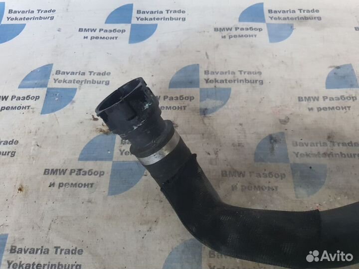 Шланг системы охлаждения нижний BMW M5 F10