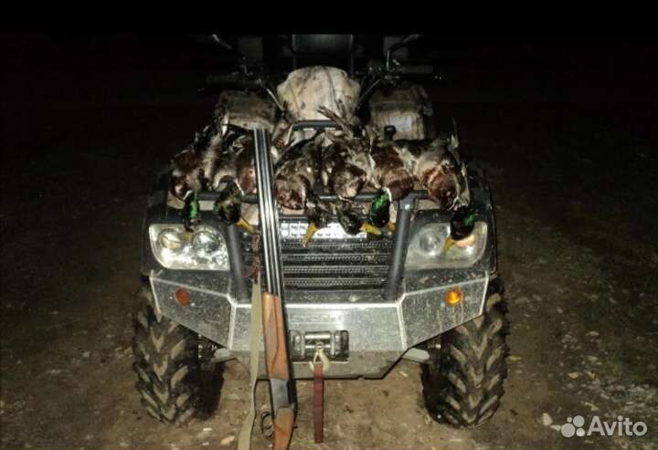 Подсадные утки