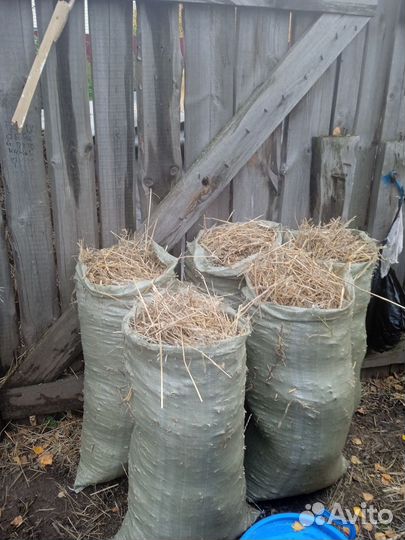 Солома пшеничная в мешках