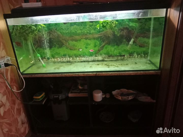 Аквариум с тумбой бу