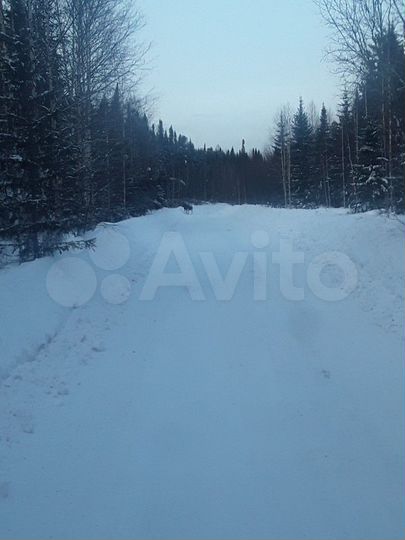 Участок 18 сот. (СНТ, ДНП)