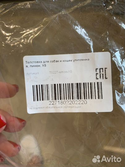 Толстовка для собак мелких попод и кошек