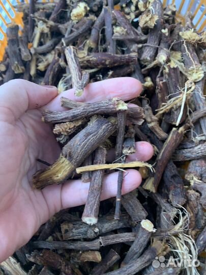 Лакрица - солодка