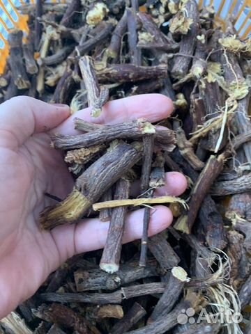 Лакрица - солодка