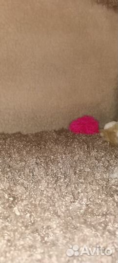 Домик для кошек, с когтеточкой