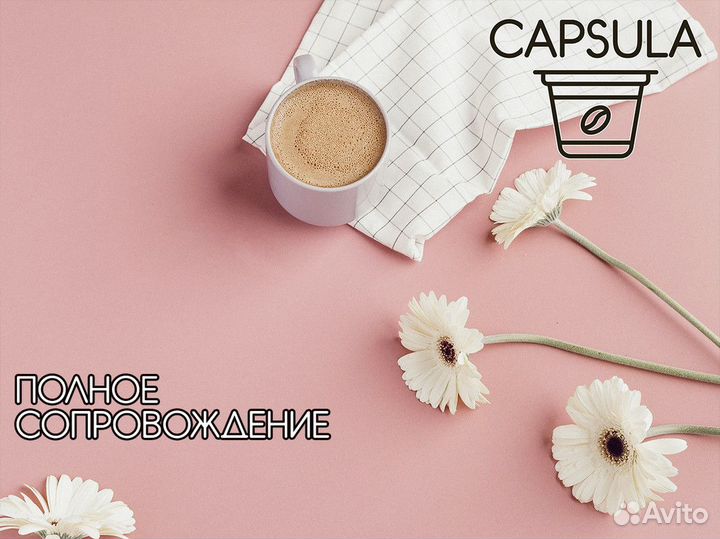 Capsula: ваш путь к успеху