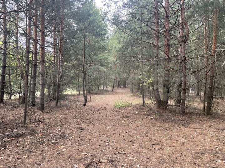 Участок 1,4 га (СНТ, ДНП)