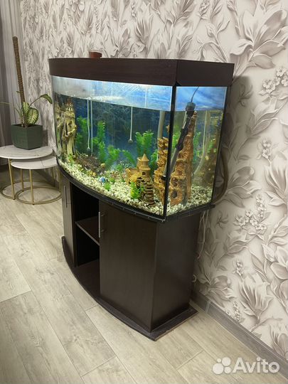 Аквариум с тумбой 300 литров