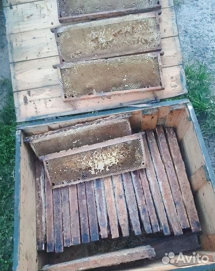 Рамки пчелиные (сушь), 23 шт