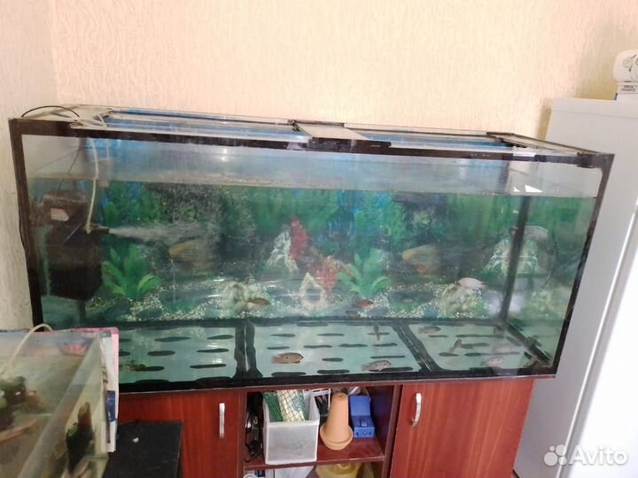 Аквариум