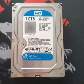 Hard disk "WD Blue" 1 Терабайт