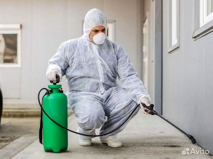 Дезинфекция Уничтожение тараканов, клопов, муравье