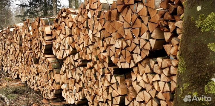 Дрова в СПБ