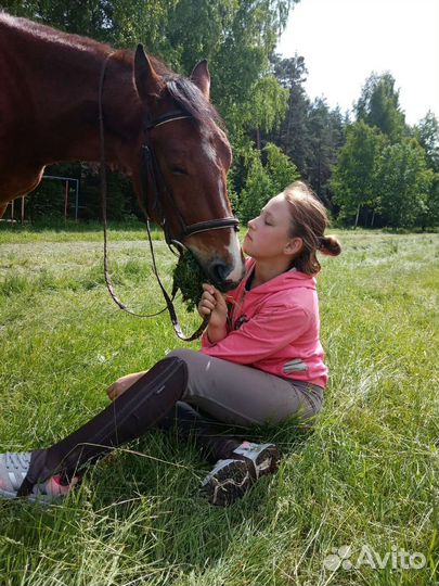 Конные прогулки