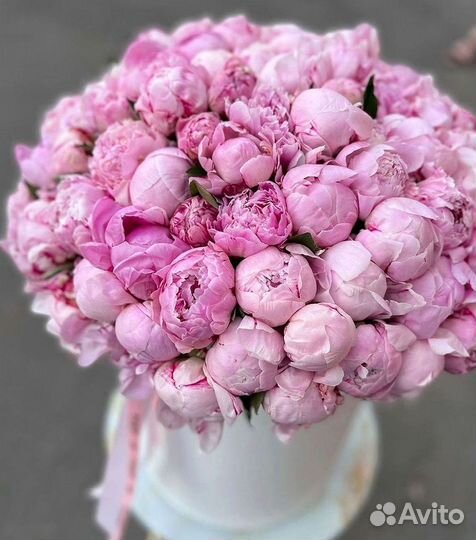 Пионы Букет