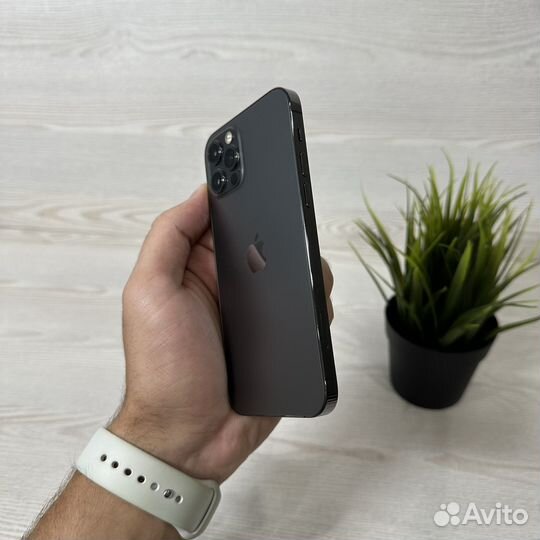 iPhone 12 Pro, 256 ГБ