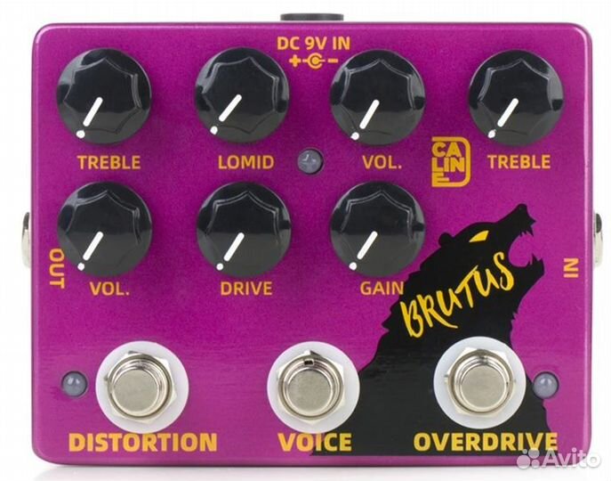 Caline DCP-02 brutus