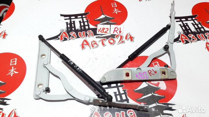 Петля крышки багажника BMW 318i E46 M43 B19 2000