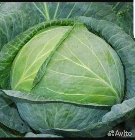 Продукты питания оптом