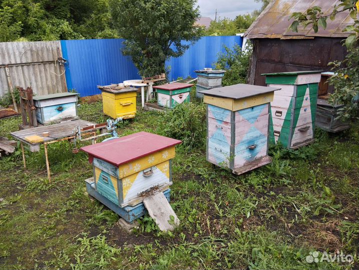 Улей с пчелами