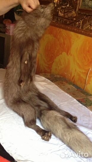 Мех Песец чулок