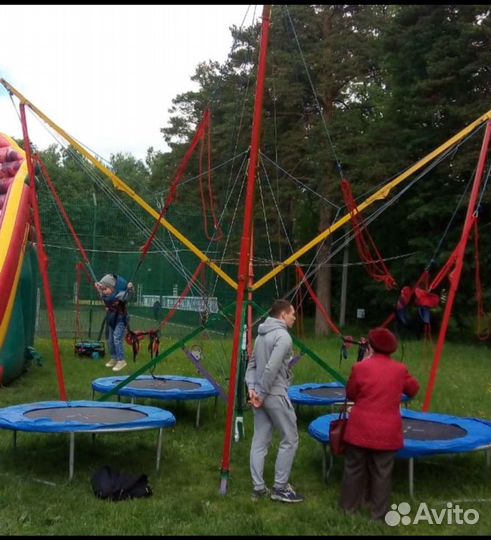 Аттракцион спортивный джампинг кенгуру