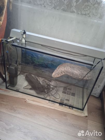 Аквариум для красноухой черепахи