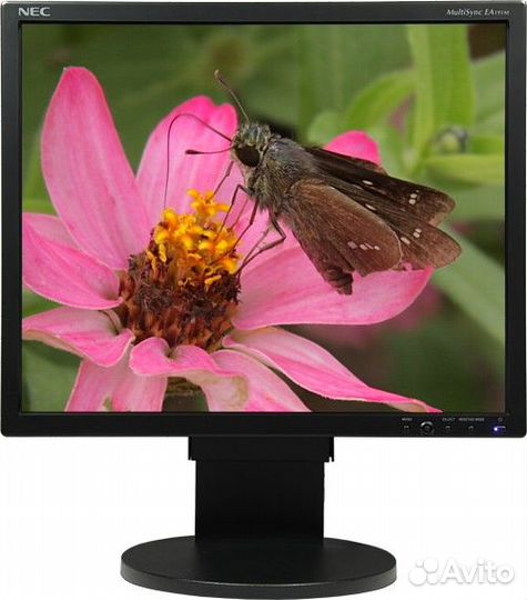 Монитор NEC MultySync EA191AM 19