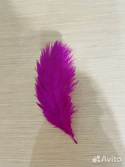 Перо страуса