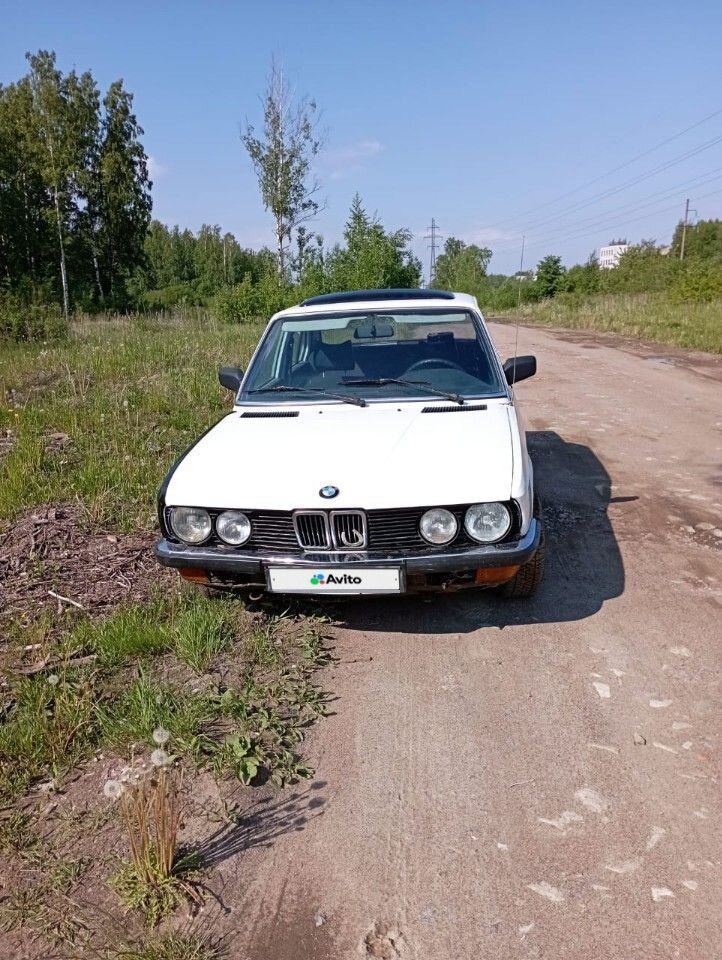 BMW 5 серия: фото владельца