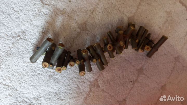 Для грызунов