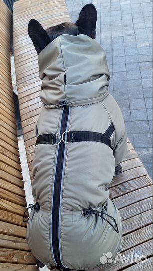 Зимний комбинезон для собак средних пород