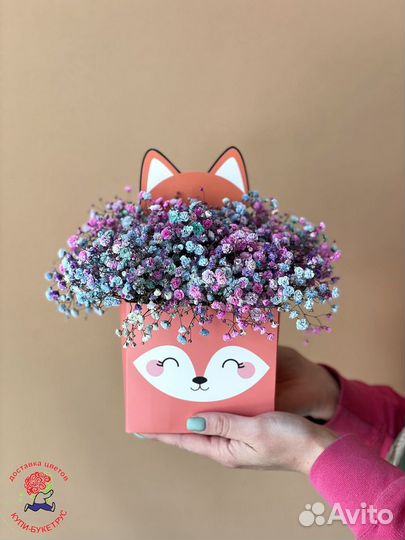 Цветы в коробке, гипсофила