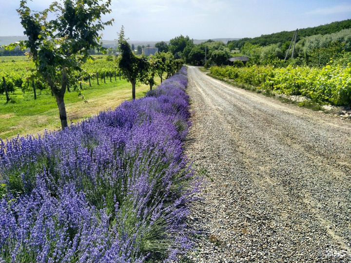 Участок 3,2 сот. (ИЖС)