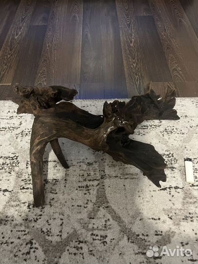 Мангровая коряга