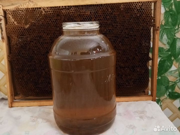 Продам мёд натуральный