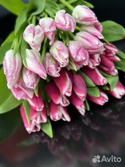 Тюльпаны оптом